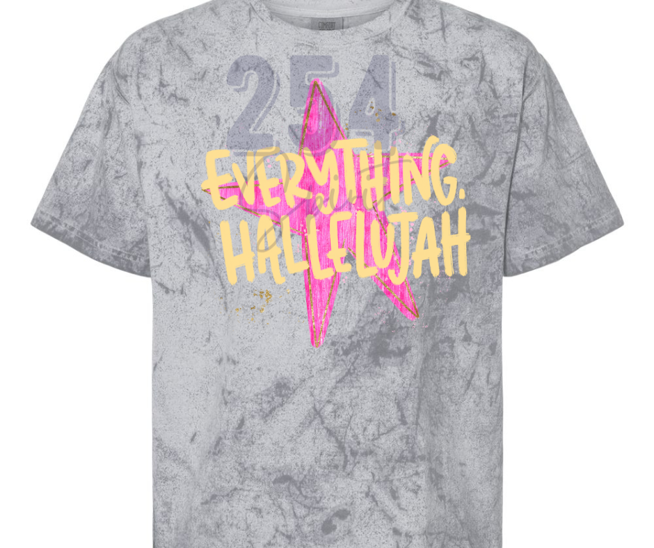 EVERYTHING STAR COLORBLAST GRAY TEE