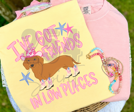 FRIENDS IN LOW PLACES DOG TEE
