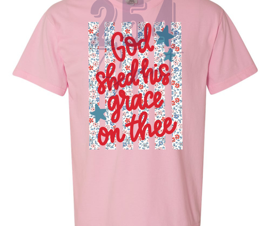 GOD SHED HIS GRACE TEE
